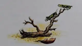 Little House On The Prairie/Chapter #26/Grasshopper Eggs (Civil War Songs Included!)