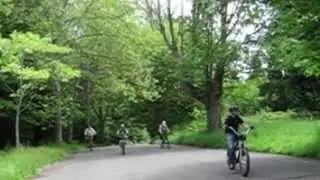 Cycles In Nature