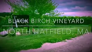 You MUST SEE our First time inside Black Birch Vineyard!! #winelovers