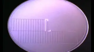 Solar panel processing