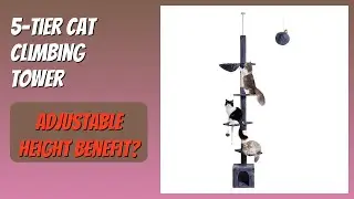 REVIEW (2026): 5-Tier Cat Climbing Tower. Features