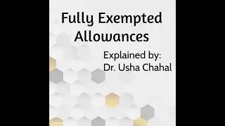 Fully Exempted Allowances