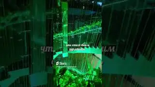 ты его узнаешь сразу!#music #automobile #cover #ai #мудрыеслова #лето #любовь #song #природа #закат