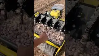 Efficient Garlic Planter for Modern Farming #farmingmachines @RomFarm