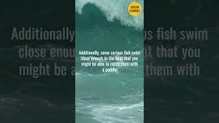 🌊 The Ocean&rsquo;s Second Enemy: HUNGER! How to Survive Without Food