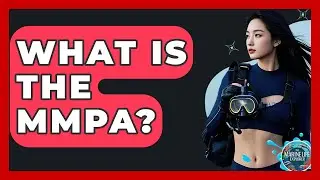 What Is The MMPA? - The Marine Life Explorer
