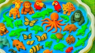Kids Learn | Animals With Stripes & Spots!  | Toy & Real Patterned Animals for Toddlers | Preschool