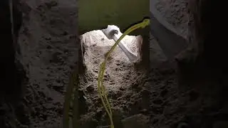 #plumbingtime P trap in drain. 110mm.(4