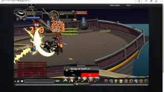 AQW Shaman Class Guide