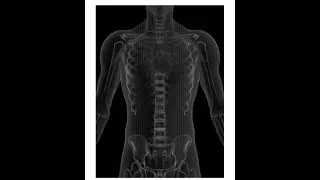 Human Robots - New Specie - Patent Details: Part One