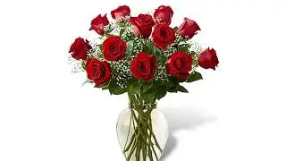 Jden.8ies - Dozen Roses
