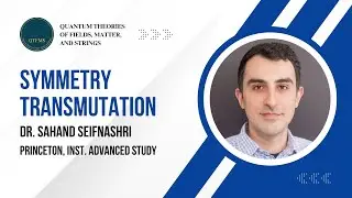 Symmetry Transmutation - Sahand Seifnashri