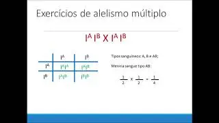 Genética Geral - Exercícios resolvidos sobre alelismo múltiplo.