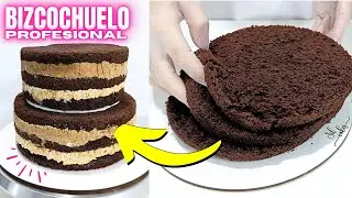 Bizcochuelo Profesional en Casa Chocolate para Tortas Todos los Moldes Esponjoso, F&aacute;cil y Delicioso