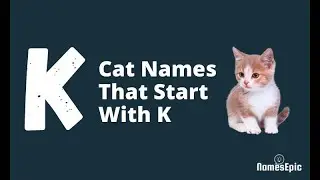 20 Best Cat Names That Start With K | Male and Female Cute Cat Names