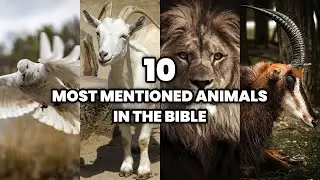 The 10 Most Mentioned Animals in the Bible | The Creatures of the Bible