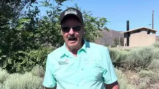 Terrific Fishing Opportunities on Lower Crab Creek Road