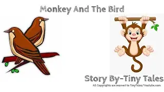 Monkey And The Bird (Short Story)