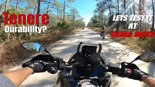 Tenere 700 Durability? Florida Sugar Sand Answers