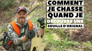 Comment chasser sur une souille d'orignal #chasse #pêche #pleinair