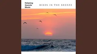 Bird Chorus
