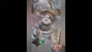 KIMBO GREEDY