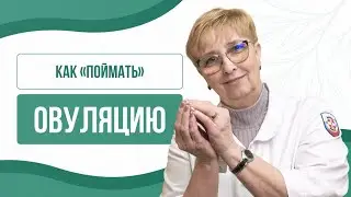 🩺​📅 Пять способов поймать овуляцию: советы гинеколога