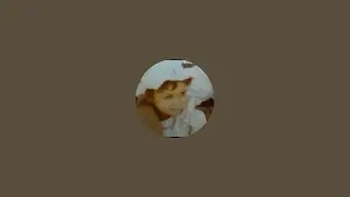 لايف جديد 2026 🥰⚘️🤲