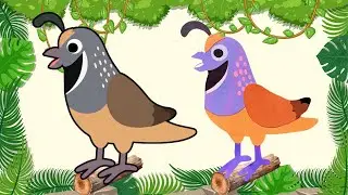 paper QUAIL Bird Craft for KIDS #papercrafts #paperbirds