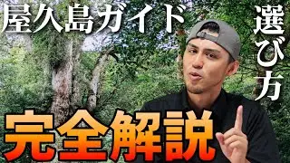 【屋久島観光】旅を最大限に楽しむための自分に合ったガイドの選び方【トレッキング】