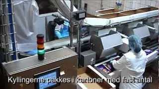 Automatical labelling systems