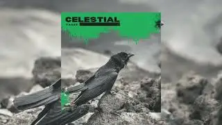 CELESTIAL🦅 ( Music&oacute;logo x Nicky Jam x Justin Quiles type beat 2021 )