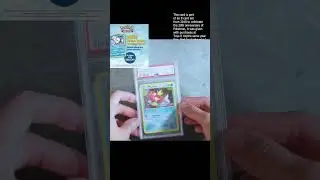 Pokemon Toys R Us Promo Cards 👀👀👀