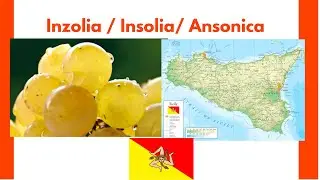 Insolia, Inzolia, Ansonica - An Alluring Sicilian White Wine Variety