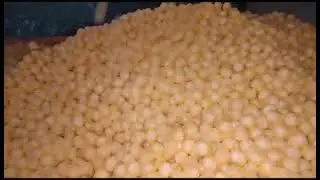 Rings Puff Extruder, Rings Puff Cheese Ball Making Machine, Rings Puff Kurkure Plant #puff #kurkure