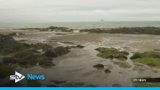 Lower Largo has become the latest area to receive bathing water status in Scotland