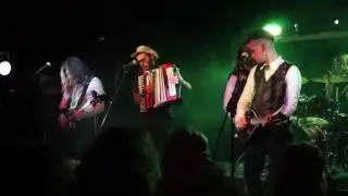 Harley McQuinn - Пьяный юнга