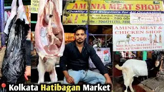 AMINIA MEAT SHOP//KOLKATA HATIBAGAN MARKET//DESI & RIYAZI MUTTON SHOP//DESI MUTTON SHOP KOLKATA//