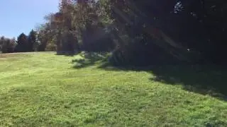 Winslow Dog Park