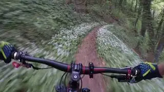 Singletrail Sonnenberg | Thurgau | RAW
