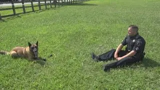 Newport New's longest-serving police K9 dies