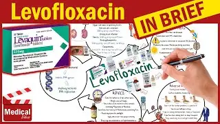 Levofloxacin ( Levaquin ): What is Levofloxacin Used For, Dosage, Side Effects & Precautions