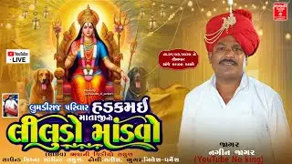 🔴લુમડીરાજ પરિવાર ના આંગણે || હડકમઈ માતાજીનો લીલુડો માંડવો || Nagin Jagar || Live Bhavani Video Salun