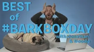 Best of #BarkBoxDay | A Brand New Series with Jonathan & Noodle