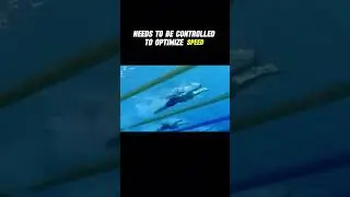 OPTIMAL Undulation For Fast Fly #swimming #swimtechnique