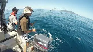 Softbaiting deep water with Glowbite Jig Head
