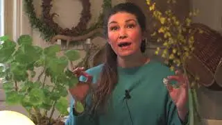 Biokol gör egen hemma, varmkompost och sticklingar i Hemma hos Jessica v 7