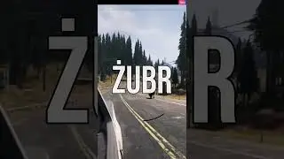 When English is not enough but POLISH is  #gaming #streamer #polishlanguage #polish