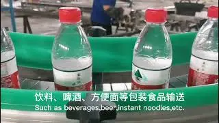 Food and beverage conveyor