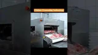 Modern Poultry Processing Machine | Chicken Processing Technology. #ChickenProcessing #ModernMachine